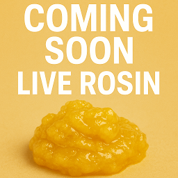 Live Rosin Concentrates